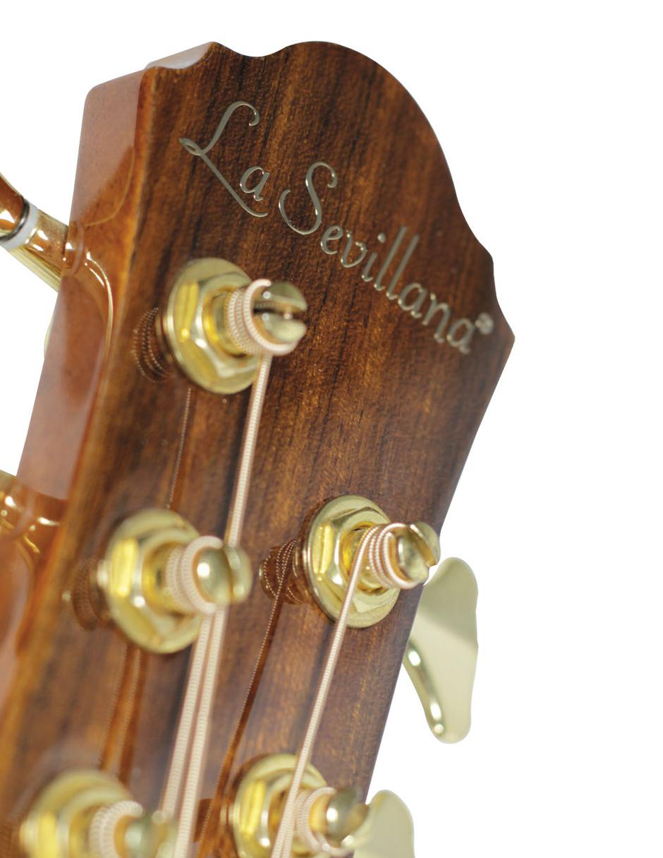Bajo Electroacústico de 5 Cuerdas B-1005CEQ 8