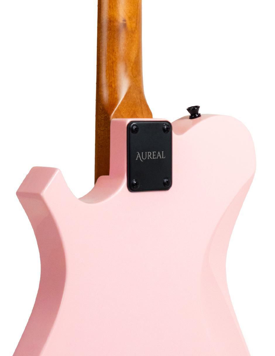 Guitarra eléctrica Te Pk 5