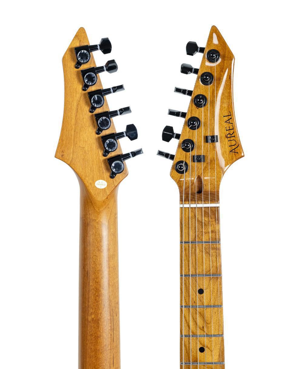 Guitarra eléctrica Te Pk 8