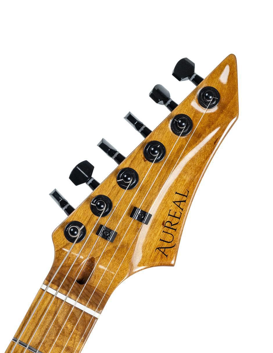 Guitarra eléctrica Te Pk 9