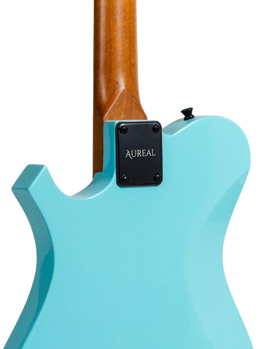 Guitarra eléctrica Te Bl 5