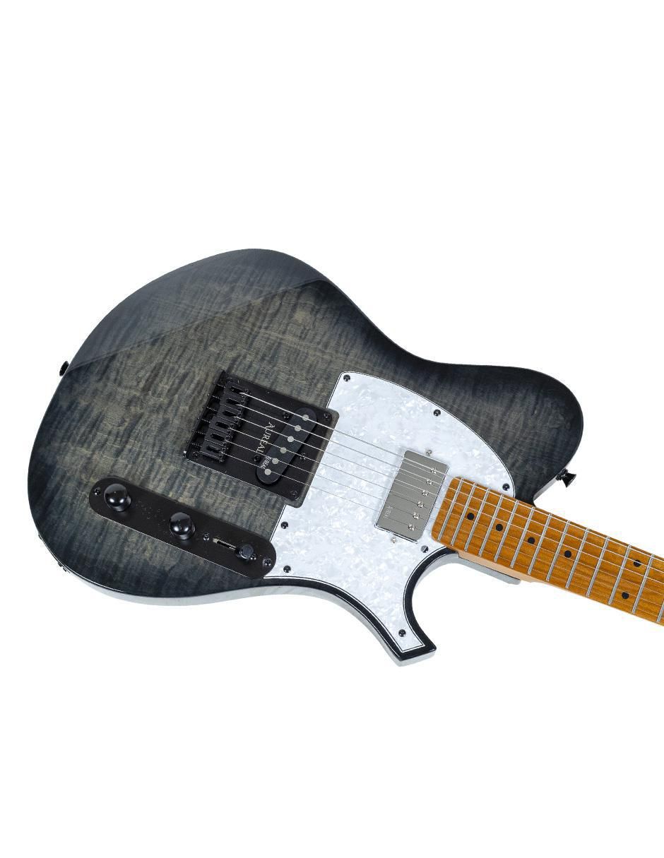 Guitarra eléctrica Te Ts Gr 4
