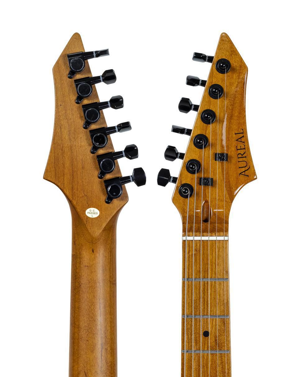 Guitarra eléctrica Te Ts Gr 8