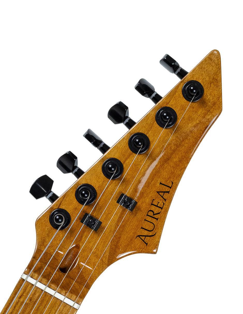 Guitarra eléctrica Te Ts Gr 9