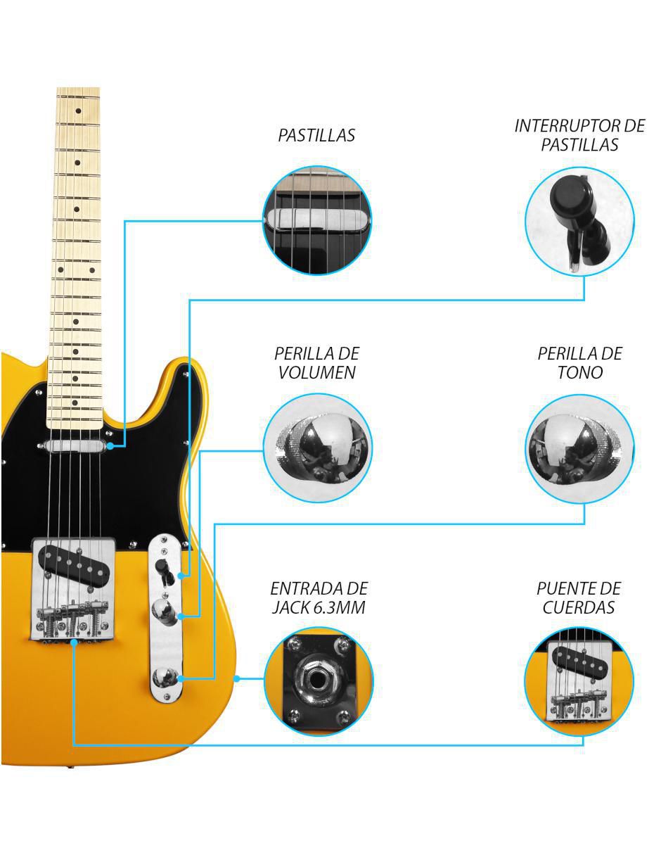 Guitarra eléctrica Sk 2