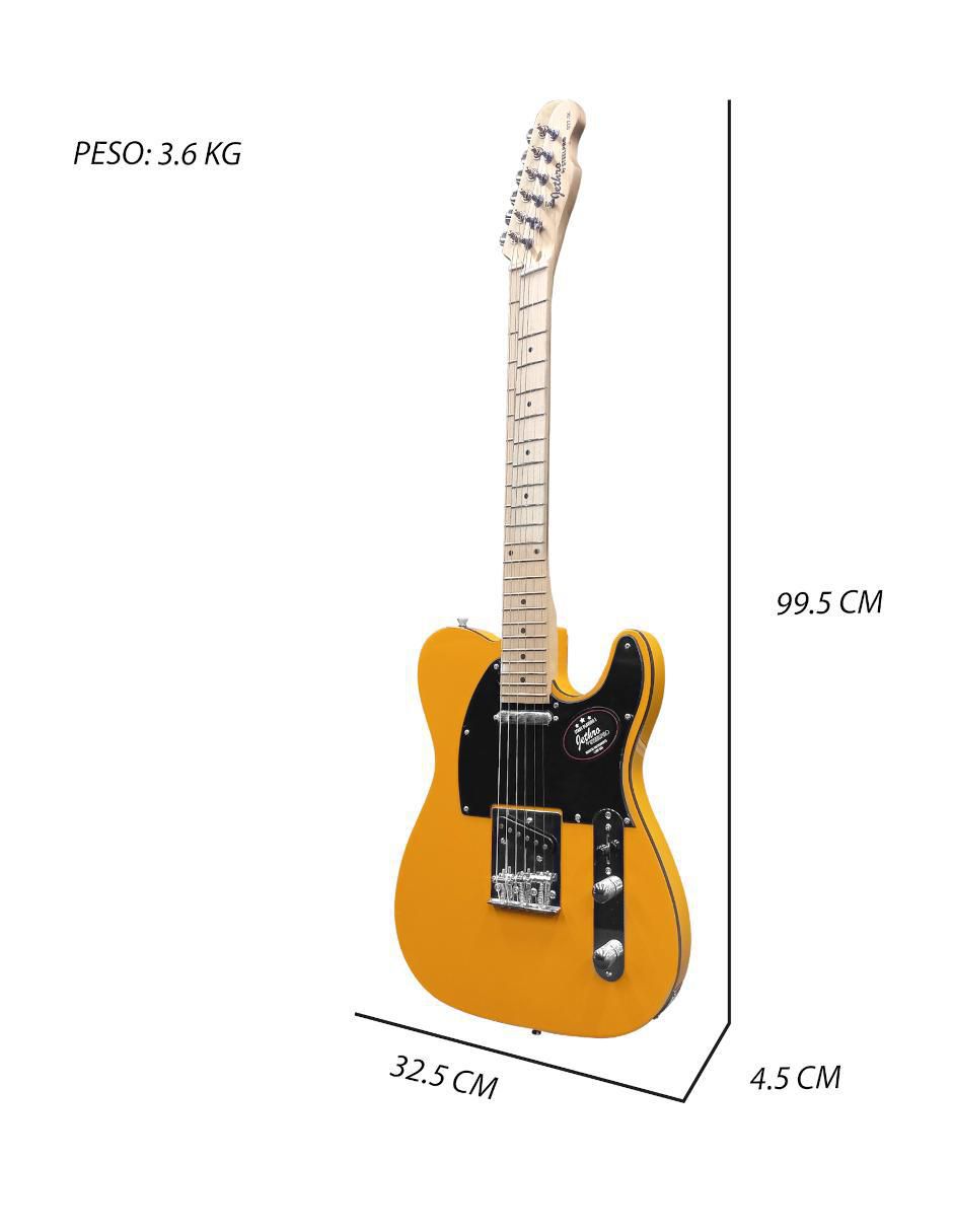 Guitarra eléctrica Sk 6