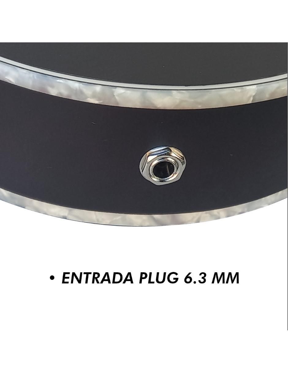 Guitarra electroacústica Ns-6 4