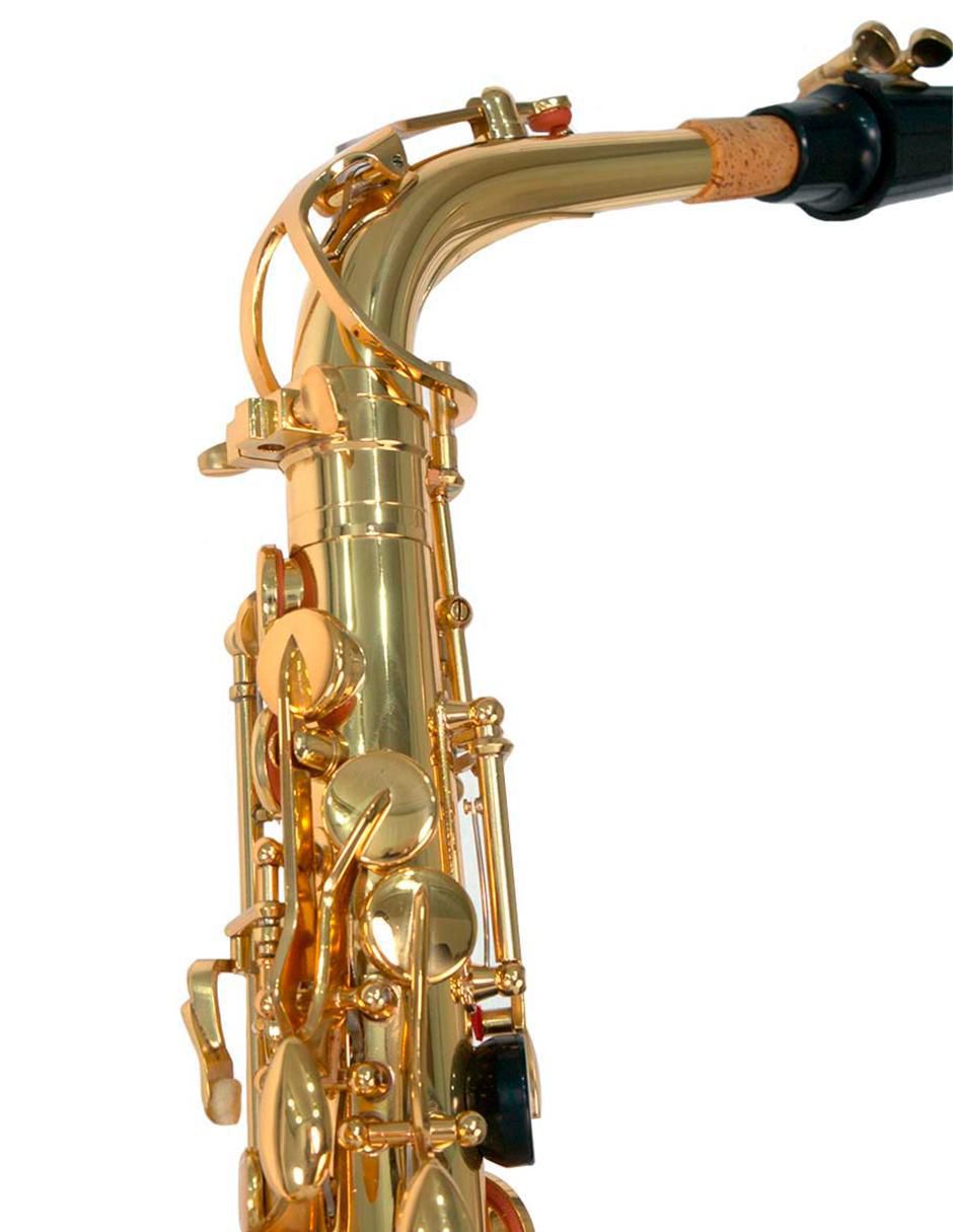 Saxofón alto 13