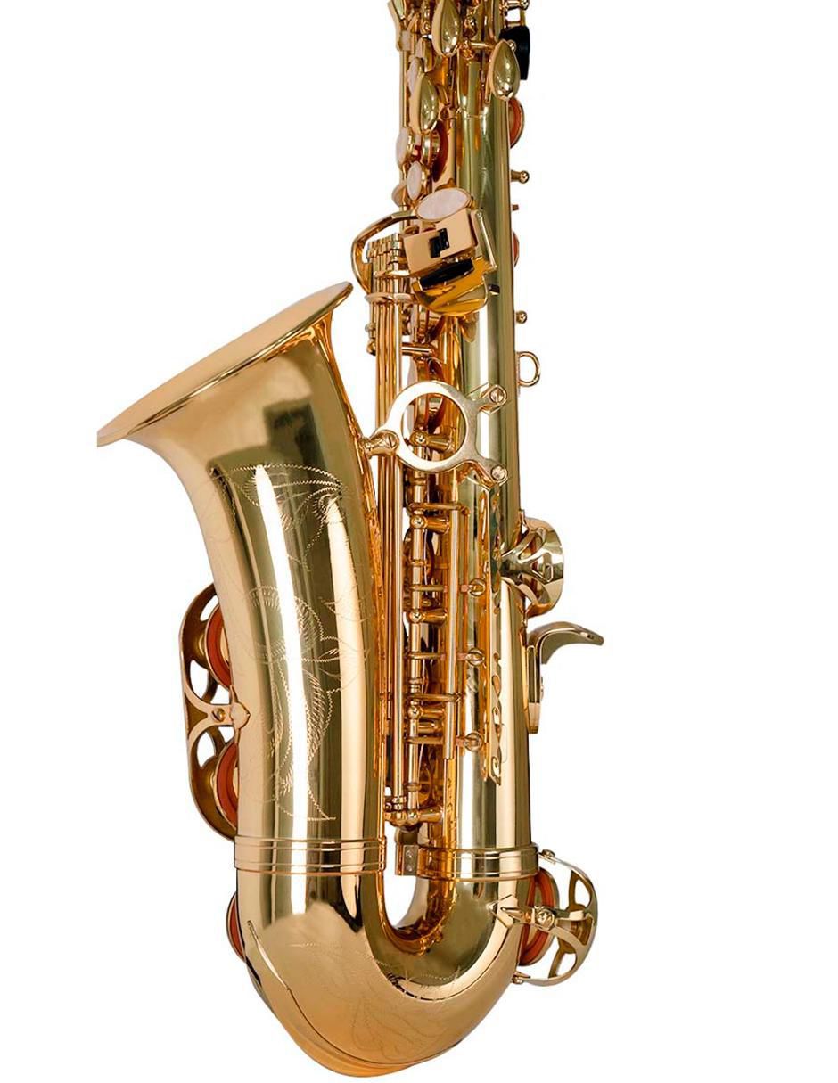 Saxofón alto 16