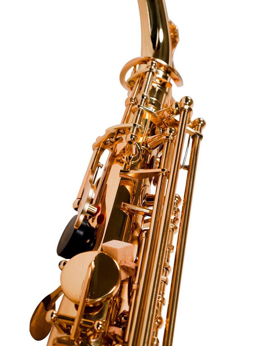 Saxofón alto 18