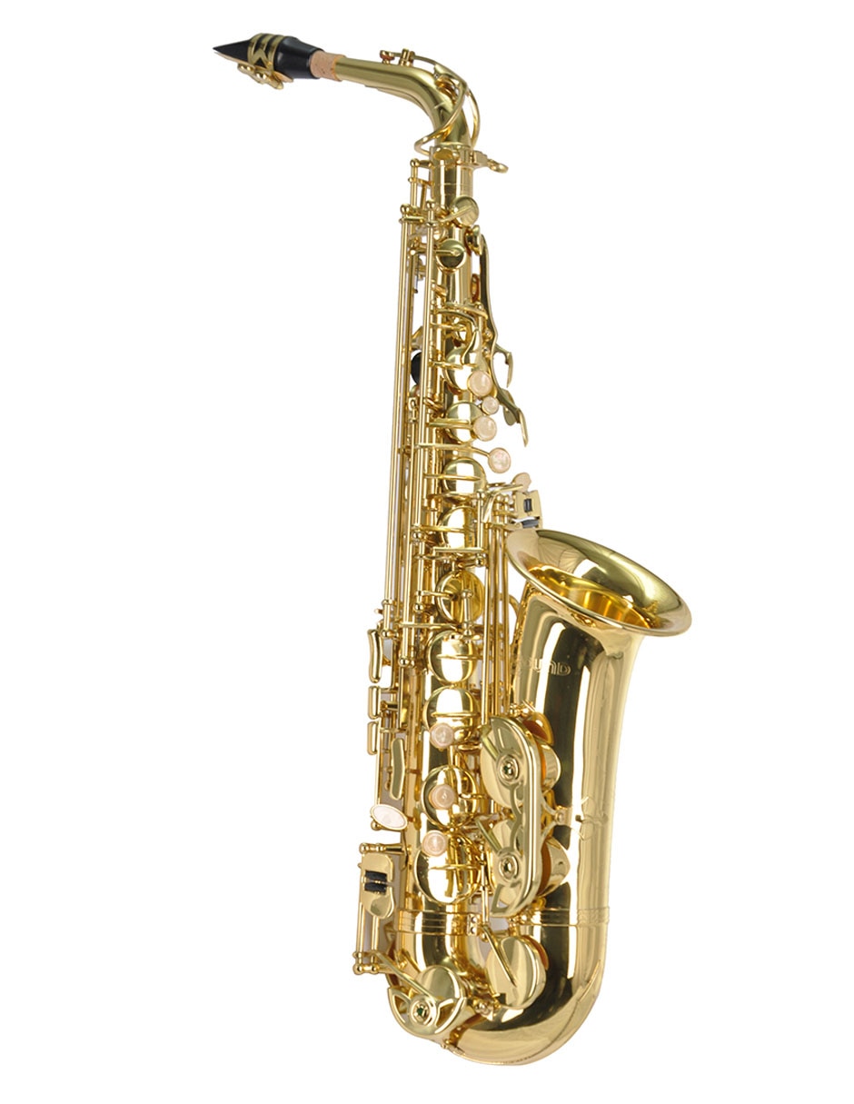 Saxofón Alto 5