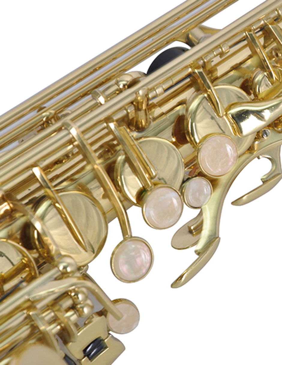 Saxofón Alto 2