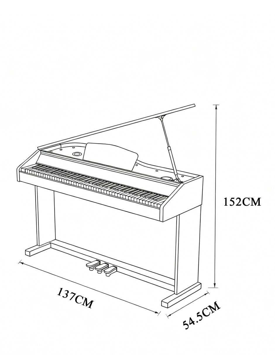 BL-8830-C GROUND MUSIC, NEGRO