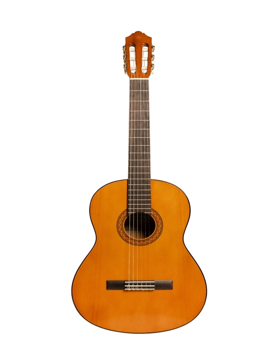Guitarra acústica clásica c-40 1