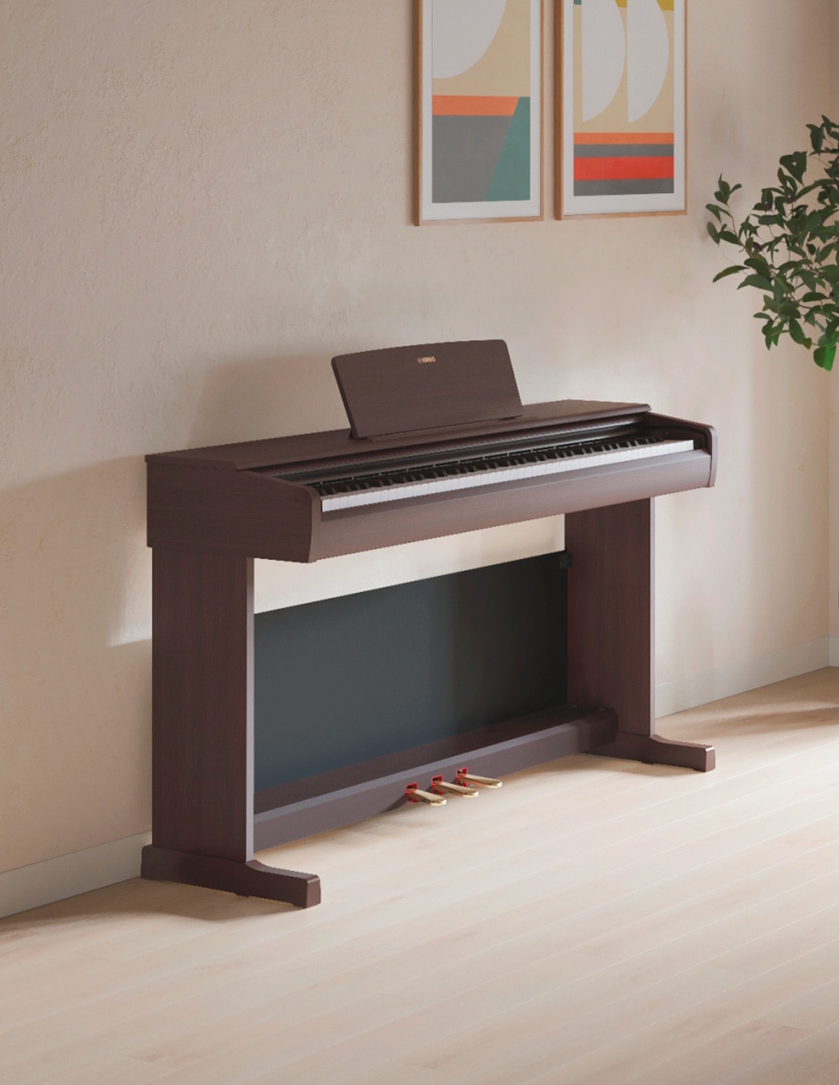 Piano ydp-146 88 teclas
