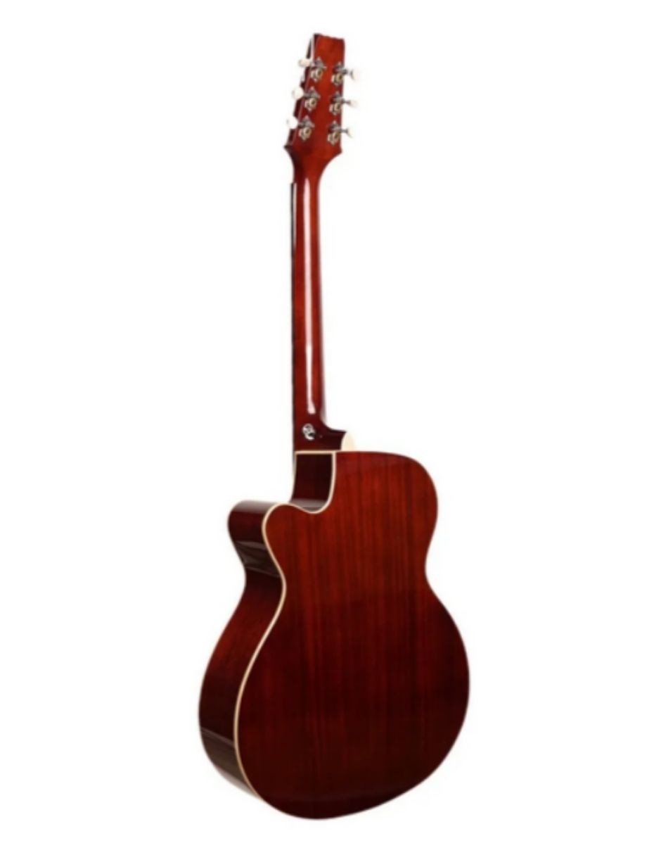 Guitarra bajo electroacústico VB110CE 4