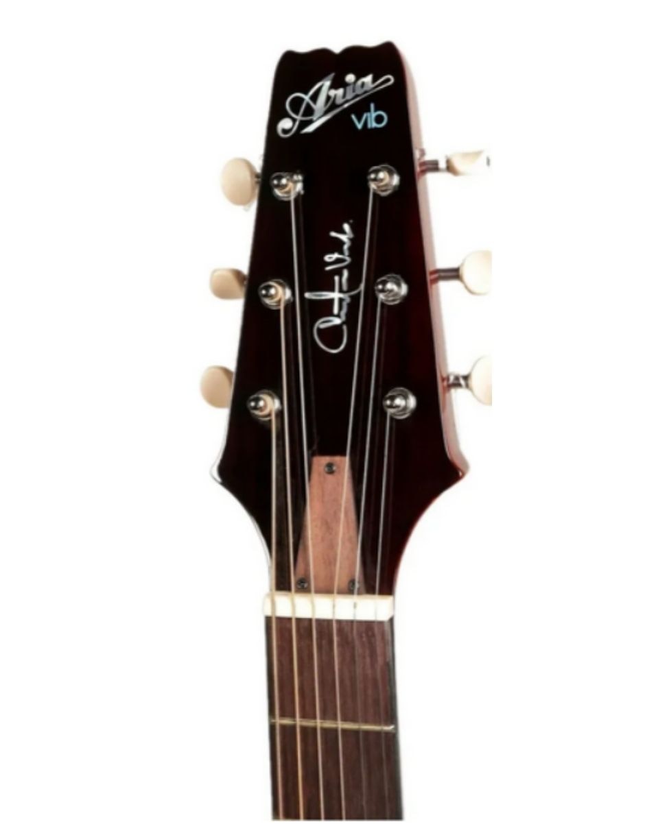 Guitarra bajo electroacústico VB110CE 2
