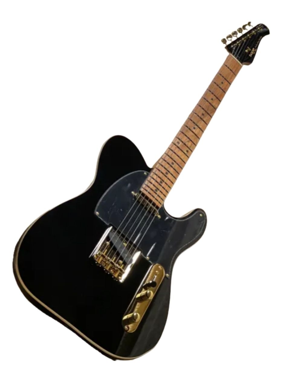 Set/ Kit/Guitarra Eléctrica SEITL1009