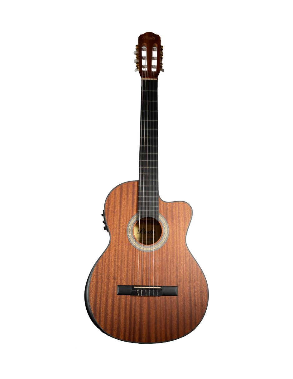Guitarra electroacústica rcg2ce Guitarra electroacústica rcg2ce