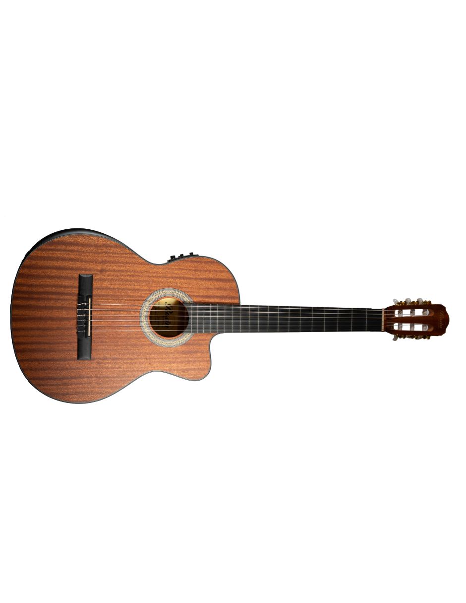 Guitarra electroacústica rcg2ce 2
