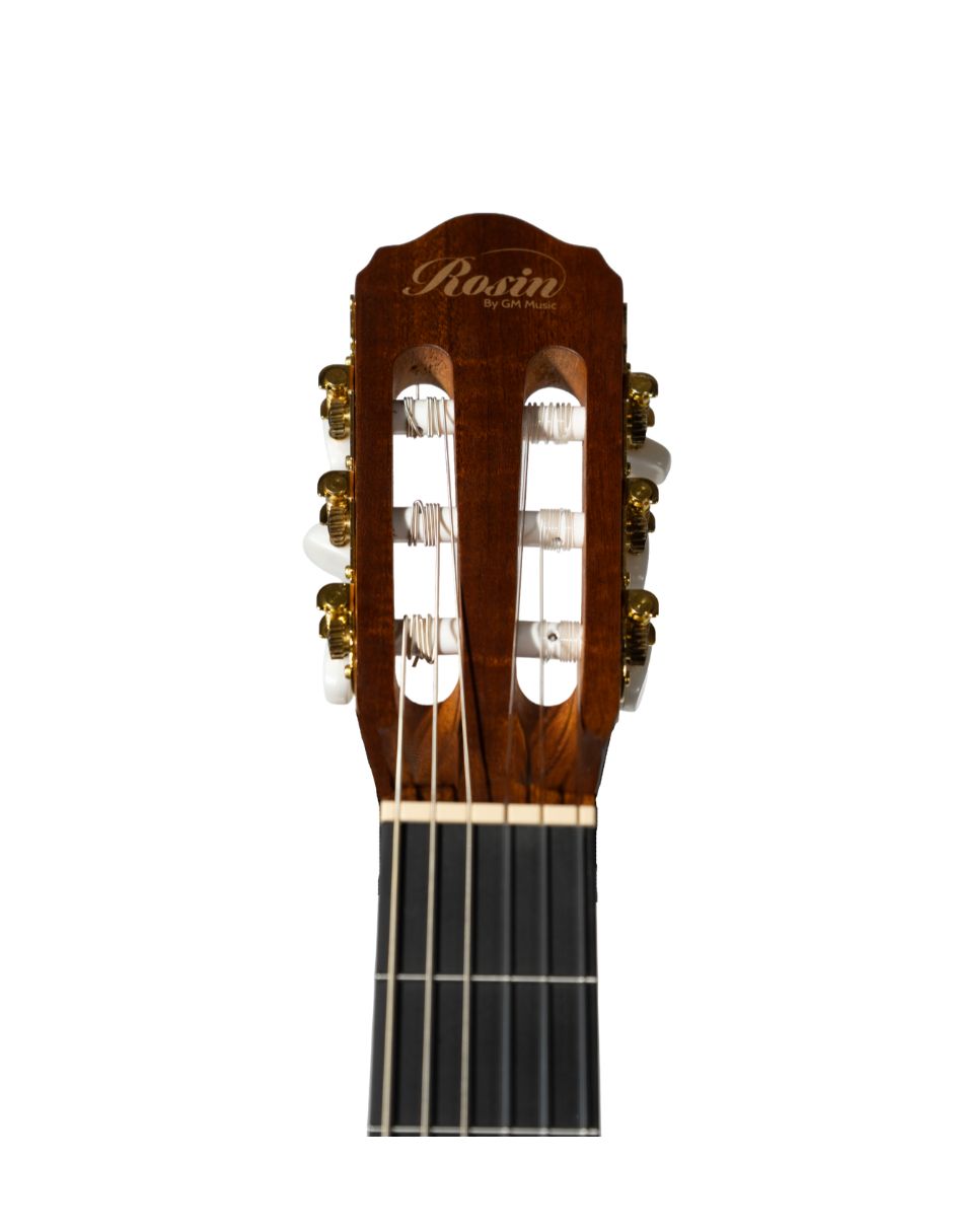 Guitarra Bajo electroacústico rcg1ce 3