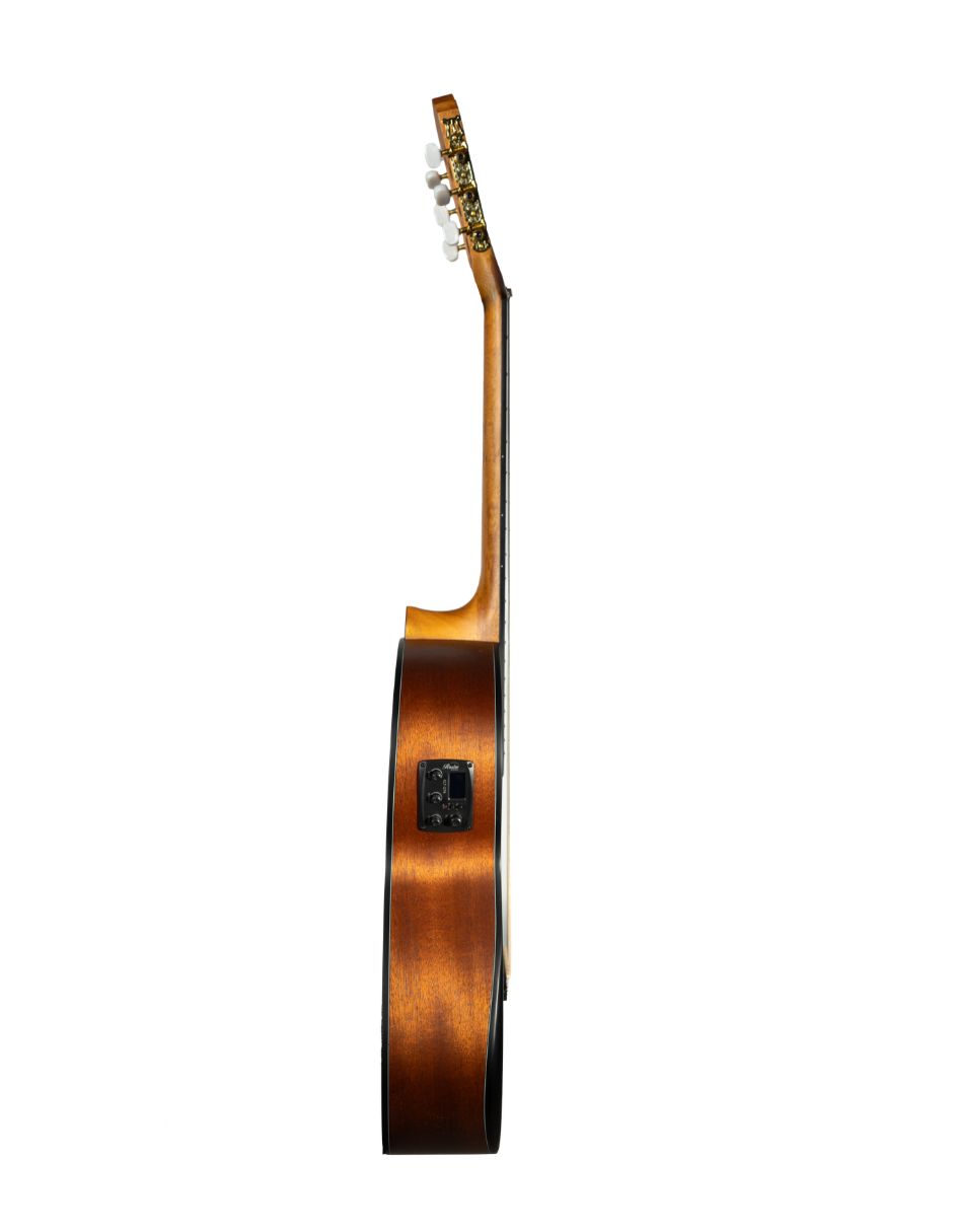 Guitarra Bajo electroacústico rcg1ce 4