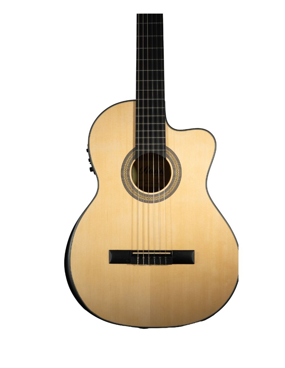 Guitarra Bajo electroacústico rcg1ce 5