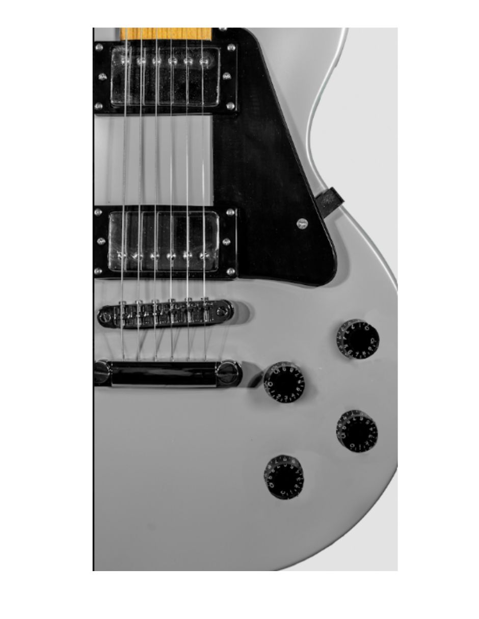 Guitarra Eléctrica Rlp122g 4