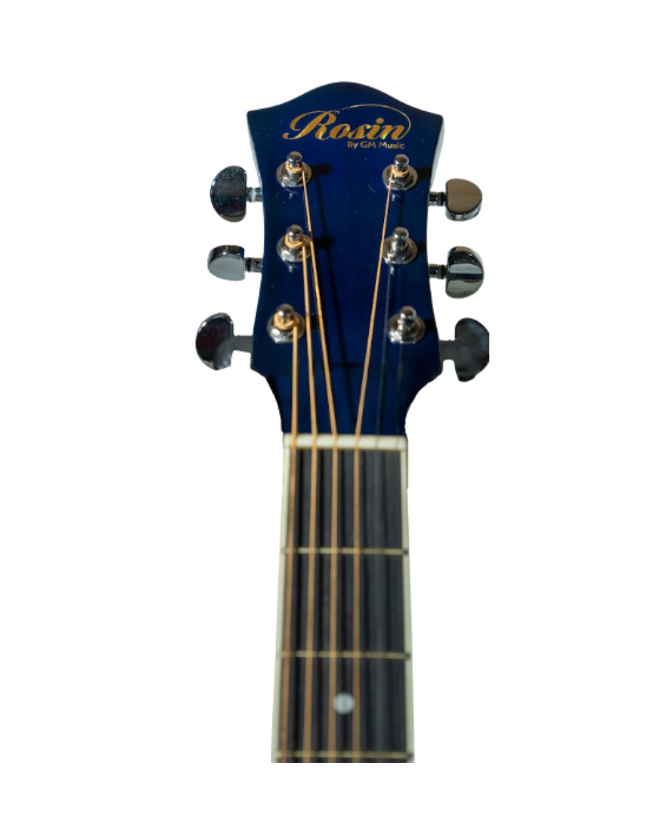 Guitarra bajo electroacústico rag403 3